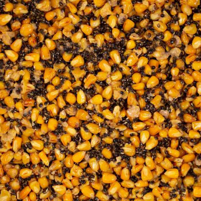 Зерновая смесь MINENKO Mix №1 Garlic (1кг)