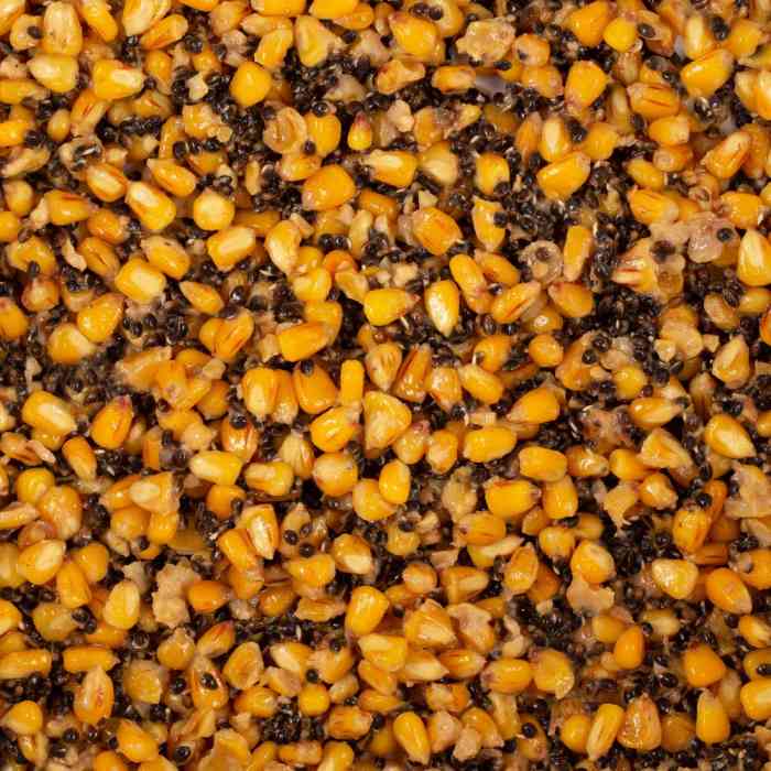 Зерновая смесь MINENKO Mix №1 Garlic (4кг)