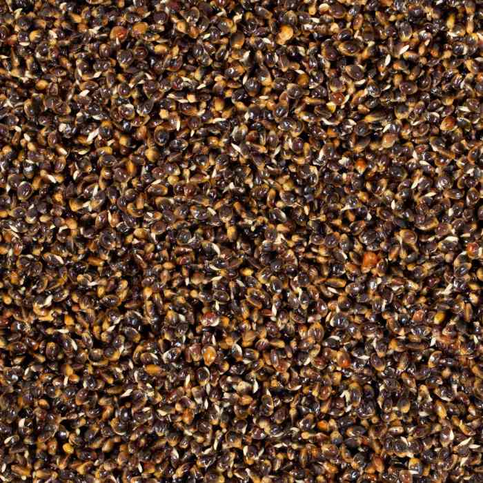 Зерновая смесь MINENKO Hemp Natural (1кг)