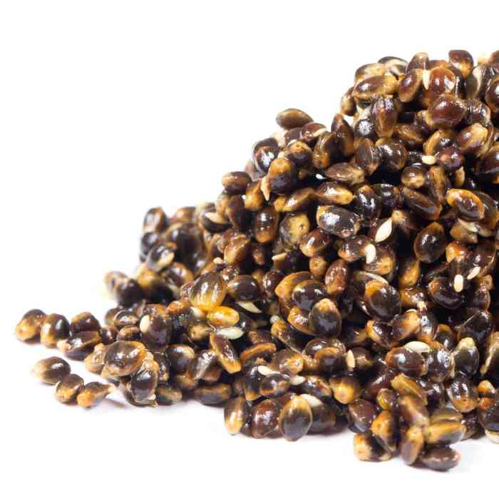 Зерновая смесь MINENKO Hemp Natural (1кг)